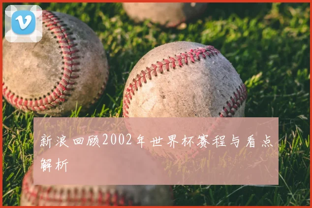 新浪回顾2002年世界杯赛程与看点解析