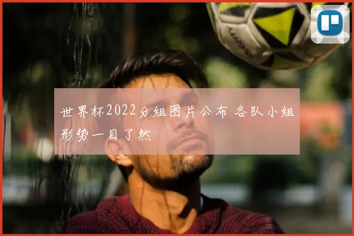 世界杯2022分组图片公布 各队小组形势一目了然