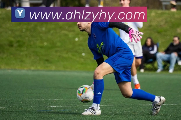 世界杯官网线上平台平台生态图